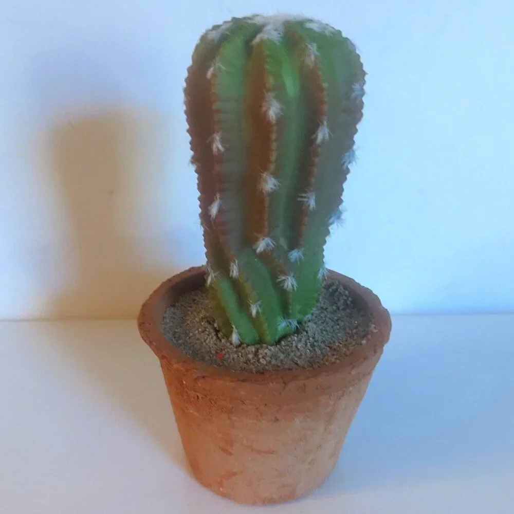 NWT Ashland Faux Cactus Rustic Clay Pot Floral Succulent Summer Desert Michaels